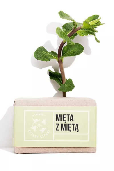 Mydlarnia Cztery Szpaki Mydło Mięta z Miętą
