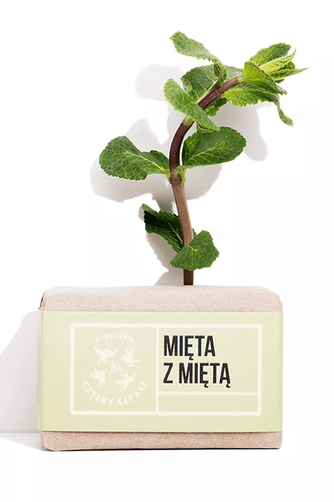 Mydlarnia Cztery Szpaki Mydło Mięta z Miętą
