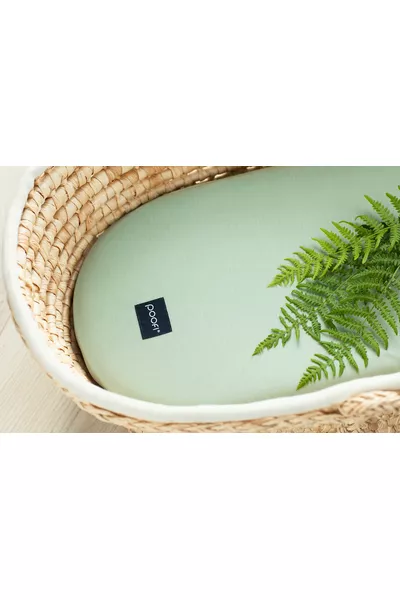 POOFI Prześcieradło do wózka Organic kolor: szałwia